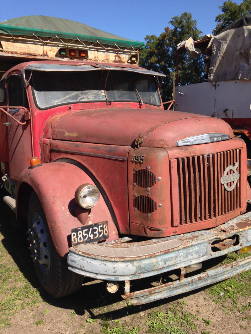 Illustration for article titled I was in Argentina last week and stumbled upon a pile of old trucks and tractors